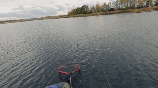 Как поймать щуку в коряжнике. Ловля на джиг в корчах смотреть онлайн