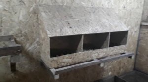 Гуси зимой. 15.12 теплица вместо домика