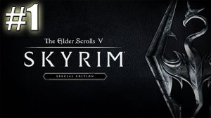 The Elder Scrolls V Skyrim прохождение на стриме #1