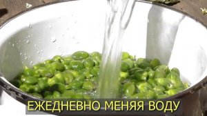 Каперсы