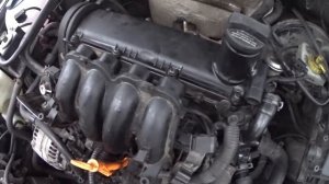 Ремонт систем охлаждения и EGR в Ауди A3 1.6 BFQ