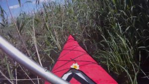 Байдарка "ЛЕГОР": сквозь камыши