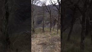 река Курах вац. Дагестан