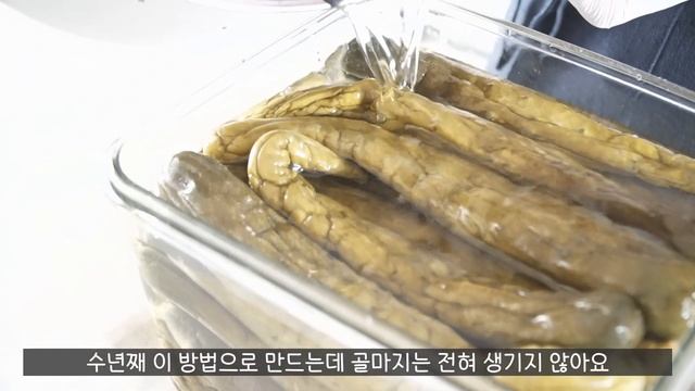 물 한 방울 넣지 않고 1년 내내 먹는 오이지 만들기 | 맛있는 통밀빵 건강 오이지 샌드위치 | Hyanggi Vlog смотреть онлайн