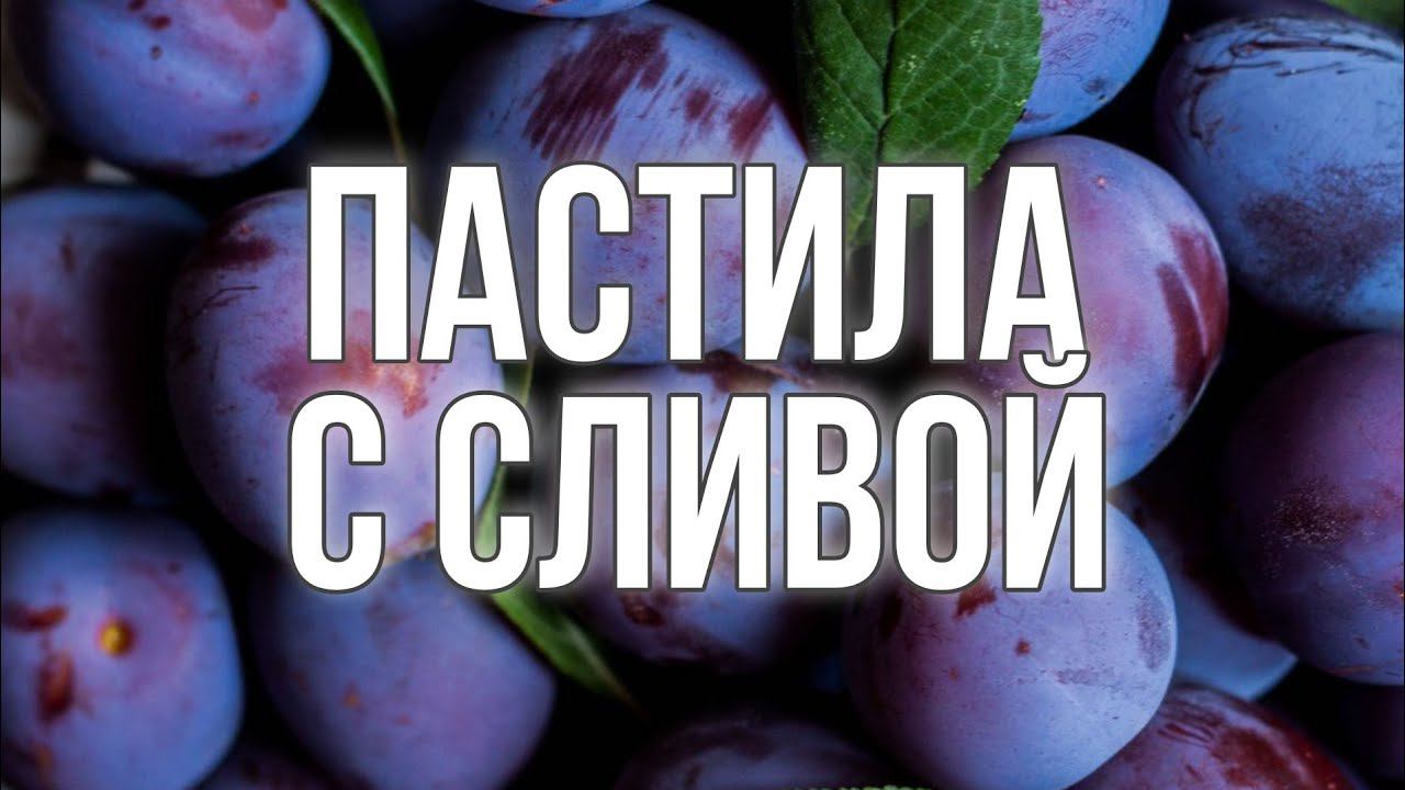 Пастила из сливы, готовим дома своими руками вкусные домашние рецепты.