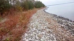 Какую тайну хранит река Иртыш? «Наедине с природой»