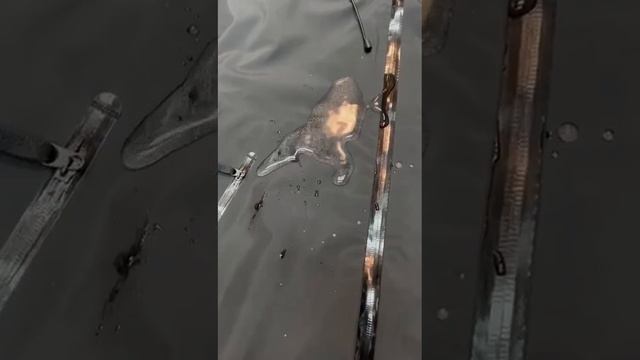 Ветровка Arcteryx gore tex