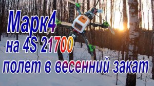 Mark4 на 21700 4S летит в весенний закат