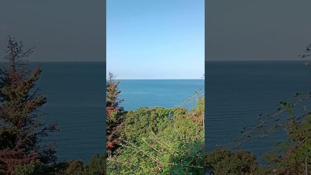 Добрейшего