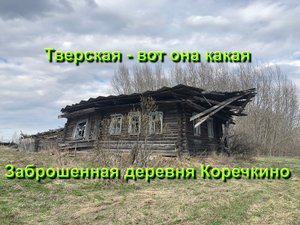 Заброшенная деревня Коречкино. Остатки домов