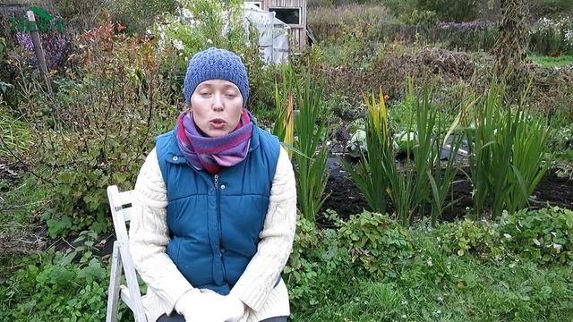 10 осенних дел в саду - 7 дач смотреть онлайн