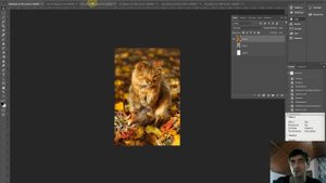 Печать и пиксели. Мегапиксели и их влияние на печать формата 20х30. Хитрости. ξ016