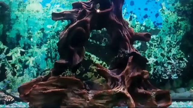 Красивая музыка для душевного настроения. Музыка Вселенной. смотреть онлайн