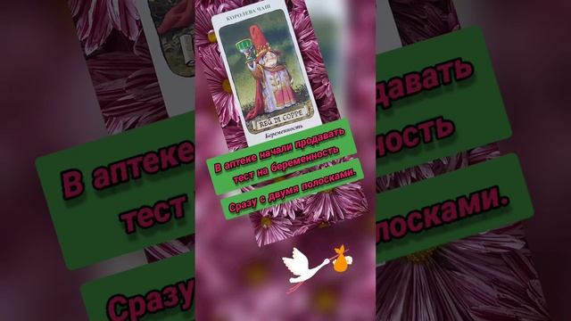 Таро гномов шутит. Королева чаш