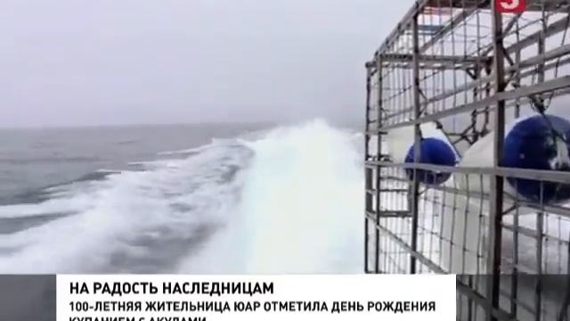 100-летняя жительница ЮАР искупалась с акулами смотреть онлайн