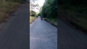 Мопедист Артём