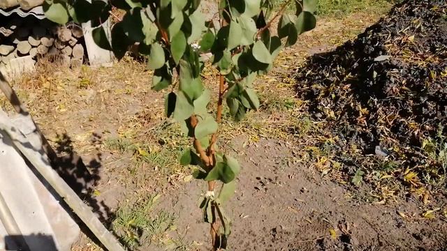 что можно зделать в одни руки смотреть онлайн