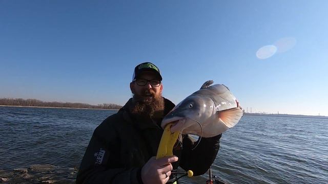 BIG CATFISH FROM THE BANK! This Rig WILL Help YOU Catch More CATFISH! смотреть онлайн