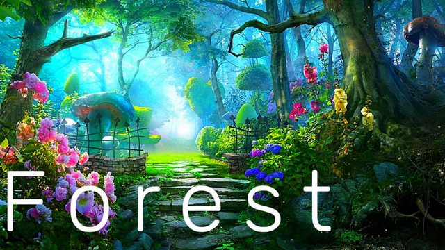 7.Forest ? ЛЕС ? РЕЛАКС ? МУЗЫКА ДЛЯ ДУШИ и ТЕЛА! ? МЕДИТАЦИЯ ? БОЖЕСТВЕННАЯ МУЗЫКА АНГЕЛОВ!