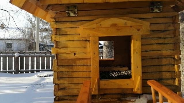 Голоса птиц.  Зимнее кормление птиц. Voices Of Birds. Winter Feeding Of Birds.