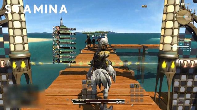 Chocobo Racing Guide for FFXIV: The Basics