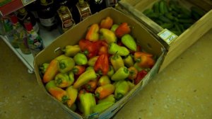 Граница Россия – Норвегия: место размещения Баллистических ракет СССР / The Люди @anton_lyadov