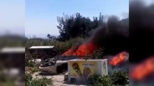 [1280x720] ynet תיעוד מזעזע כלבים הועלו באש באום אל פחם - חדשות