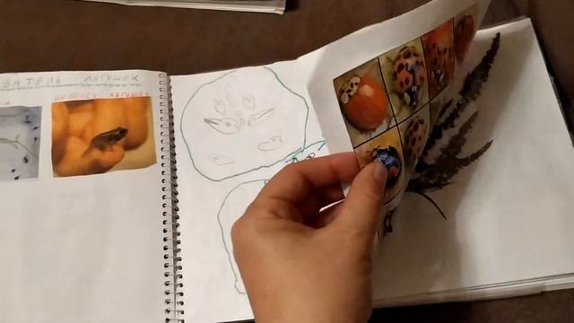 Лучший способ изучить ботанику смотреть онлайн