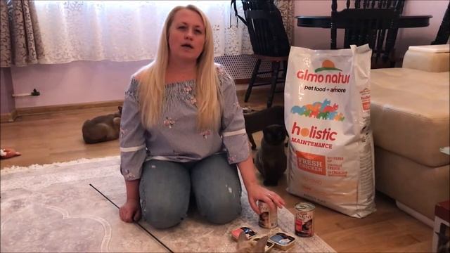 Как кормить кошек? смотреть онлайн