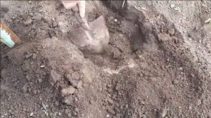 Как сделать теплую грядку? Огурцы на теплых грядках. Правильная посадка огурцов в открытый грунт.