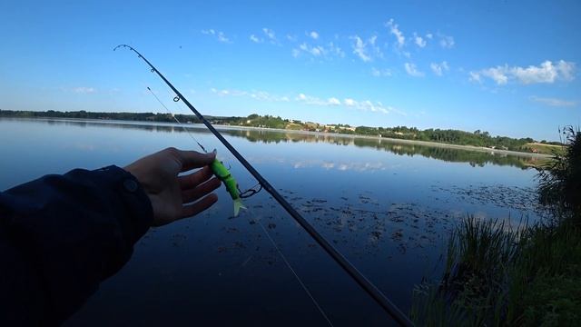 Так здесь оказываеться и хищника полно!!! Ловля щуки на спиннинг летом смотреть онлайн