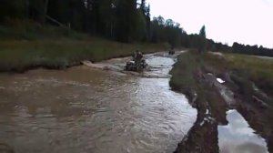 Поехали