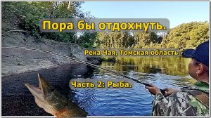 Пора бы отдохнуть. Река Чая, Томская область. часть 2 - Рыба