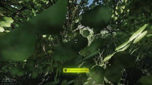 Осведомлен - значит вооружен ｜ Квест лыжника ｜ Escape from Tarkov