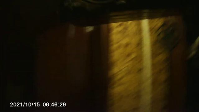 Колонка из картона смотреть онлайн