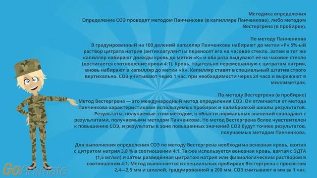 Что такое соэ