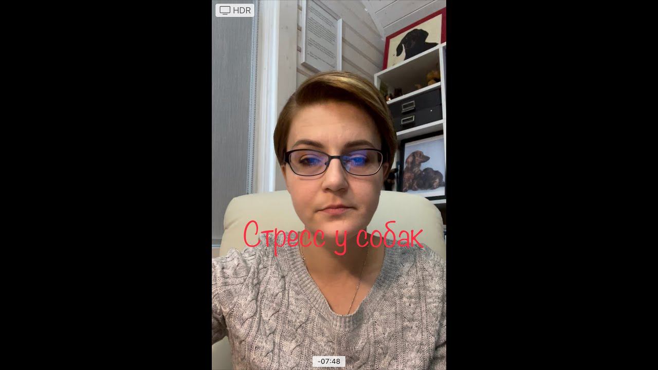 Стресс у собак. смотреть онлайн