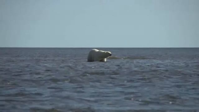 Национальный парк Гыданский