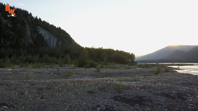 ОПАСНАЯ ВСТРЕЧА с МЕДВЕДИЦЕЙ и МЕДВЕЖАТАМИ. смотреть онлайн