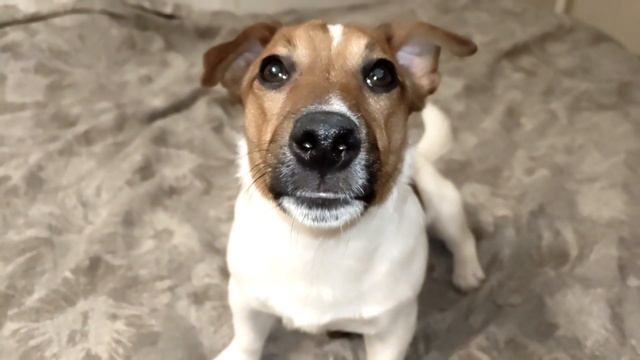 ЗАМЕДЛЕННЫЙ............................. смотреть онлайн