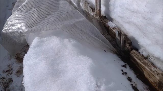 Снова в пути/Сломала теплицу/Приготовила место для цветов и саженцев//Наталья Харитонова смотреть онлайн