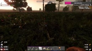 100 дней без сметрей в 7 Days to Die