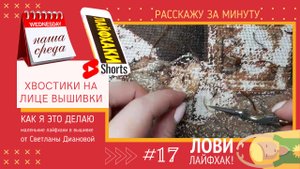 НАША СРЕДА (17) ХВОСТИКИ НА ЛИЦЕ ВЫШИВКИ