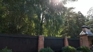 ГРУЗИНСКИЕ СПАСИТЕЛЬНЫЕ ЗАГОВОРЫ  ВЕДЬМИНА ИЗБА - ИНГА ХОСРОЕВА