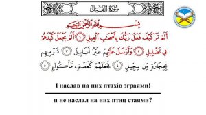 Научитесь правильно читать суру "аль-Филь"