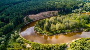 муромцево омская область омская область омск