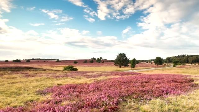 Подобрав корзинку в лесу, Ева принесла её в дом. А едва заглянув в нее… смотреть онлайн