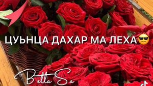 Сан хьомениг хаза ву☺🤗❤