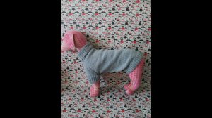 Вяжем свитер для собачки на вязальной машине.