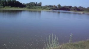 Кормушка на течении , совет для новичков.